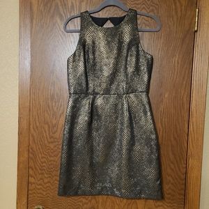 Black/Gold Mini Dress